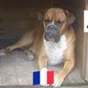 Teddy Walczak - @teddyw1967 - TikTok