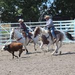Ted Wall - @hobbes454 - Instagram