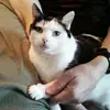 Ted Walter Sr. - @ted.walter.sr - TikTok