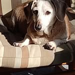 Ted Walters - @tswalters12 - Instagram