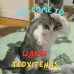 sisi lain wargi tedxitenas - @pangkalan.syopiput - Instagram