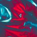 Ted Washington Jr. - Facebook