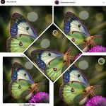 Ted Waters - @tedwaters5528 - Instagram