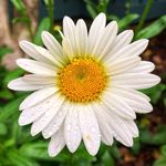 Ted Waters Photography - @faunaandflorasc - Instagram