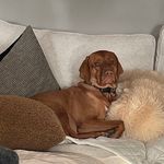 Ted Watt - @ted.watt0104 - Instagram