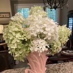 Ted Watts - @tedwattssr - Instagram