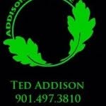 Addison Tree Care - @tedwayne6282 - Instagram