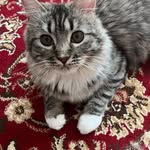 Ted William Wayne - @aztecbear17 - Instagram