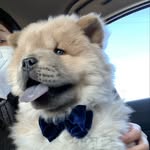 Wilbur🐻 - @wilburtheteddybear - Instagram