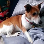 ted wilkinson - @tedwilkinson0 - Instagram