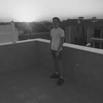 Ted Willson - @ted_willson - Instagram