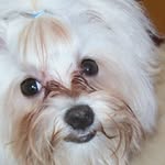 Teddy Windsor - @teddy_windsor - Instagram