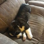 Ted - @mr_ted_winston - Instagram