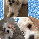 @ted_winston_albert - Instagram