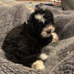 @the.tedwinston - Instagram