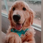 Ted Wolff - @teed.golden - Instagram