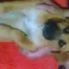 tedwolff586 - @tedwolff586 - TikTok