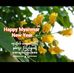 Ted Wynn - Facebook