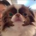 Ted Yang - Facebook
