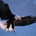 Ted Yeager - Facebook