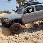 @ted_yoder - Instagram