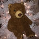 Teddy Yoder - @teddysadventures101 - Instagram