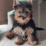 @ted.yorkshiree - Instagram