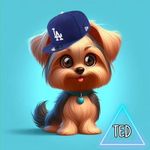 Ted - Yorkshire - @york_ted - Instagram