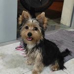 TED - @ted.york11 - Instagram