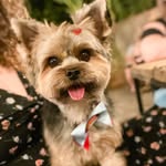 Ted - @ted.yorkshiire - Instagram