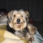 Ted - @ted_yorkk - Instagram