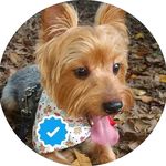 Ted - @ted_yorks - Instagram