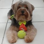 @ted_york.18 - Instagram