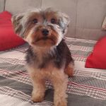 TED YORK SHIRE - @tedyorkshiree - Instagram