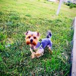 Ted.y.o.r.k - @tedi.y.o.r.k - Instagram
