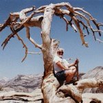 @ted_young - Instagram