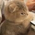 Ted Yu - Facebook