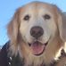 Teddie Brown - Facebook