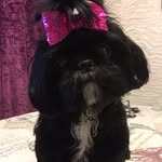 Princess Theadora 👑 - @teddyharrisonashley - Instagram