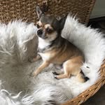 Teddy Barron - @secretlifeof_ted - Instagram