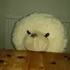 Teddy - @teddyonabender - TikTok
