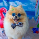 Teddy Benson - @mundodoteddy_ - Instagram