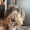 Teddy Benson - @gtateddybenson - TikTok