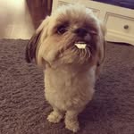 Teddy Benson - @tedstagram89 - Instagram