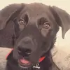 Teddybenson123 - @teddybenson123 - TikTok