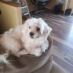 Teddy Benton - Facebook