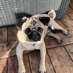 @teddy.bergeron - Instagram