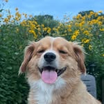 @teddy.berlin_ - Instagram