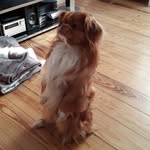 Teddy - @teddy_berlin_ - Instagram