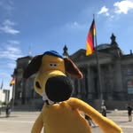 Teddy Tour Berlin - @teddytourberlin - Instagram